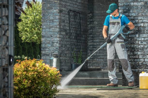 Best Roof Washing  in Porter Heights, TX